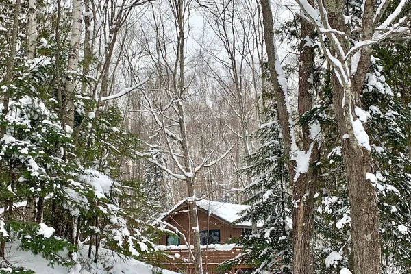 Photo 1 - Hauser's Bayfield Cabin