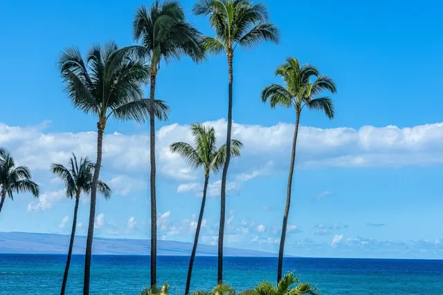 Photo 1 - Royal Kahana 217