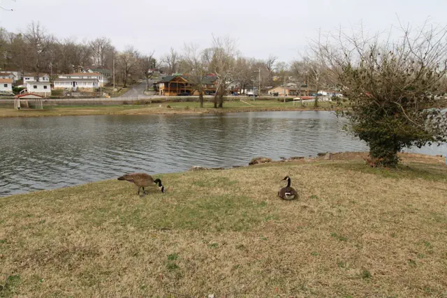 Photo 1 - Idlewild at Duck Harbor Resort