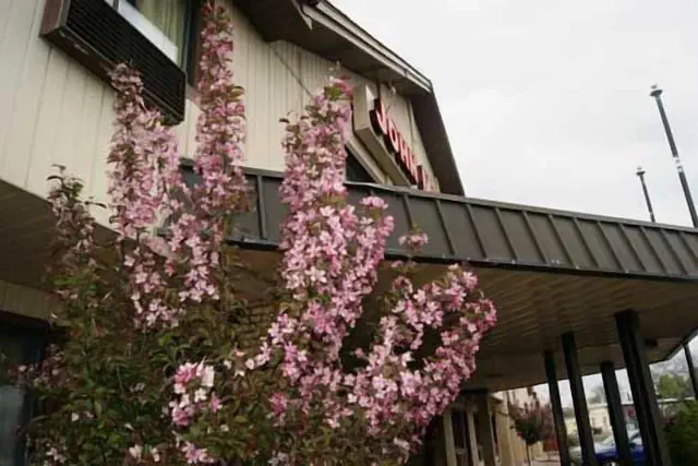 Photo 1 - Rodeway Inn Syracuse Carrier Circle