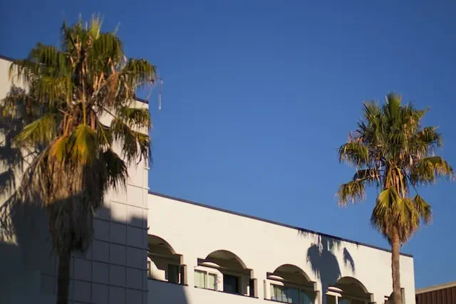 Photo 1 - Soma House