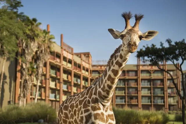 Photo 1 - Disney's Animal Kingdom Lodge
