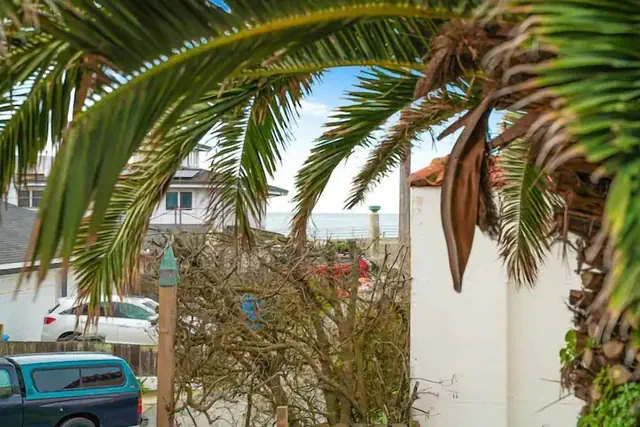 Photo 1 - Coastal Palm Tree 2BR Retreat Ocean View
