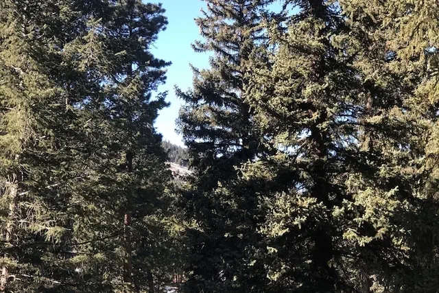 Photo 1 - Ponderosa Lodge
