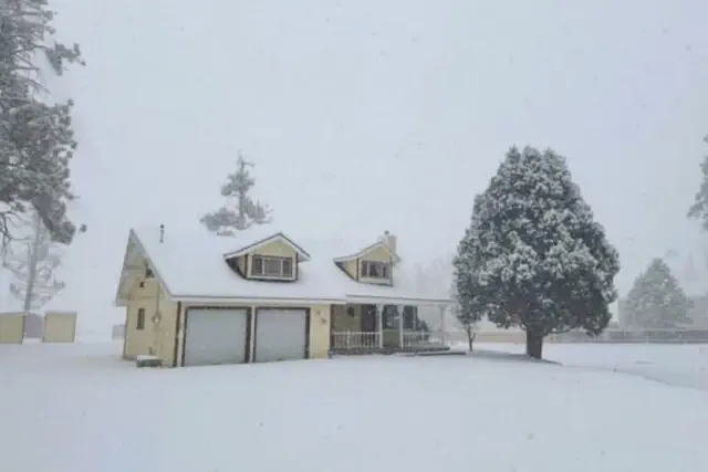 Photo 1 - Bunny's Ranch