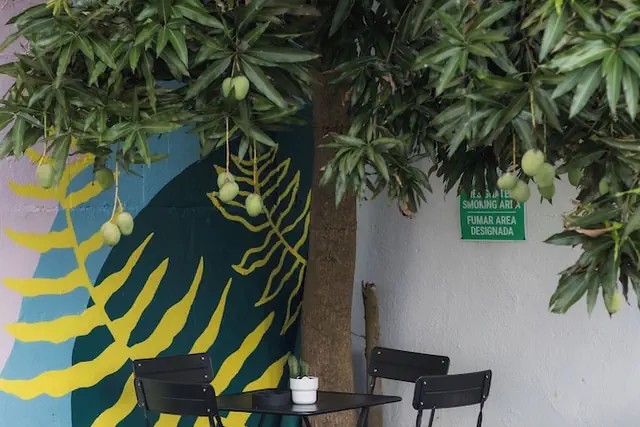 Photo 1 - Room 5 - Modern City Stay in Santurce