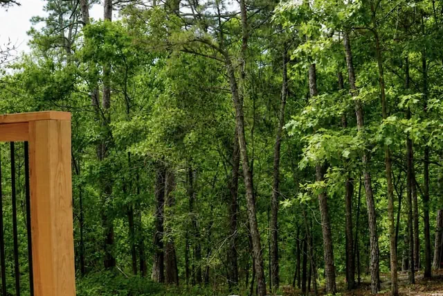 Photo 1 - Forest Springs Resort