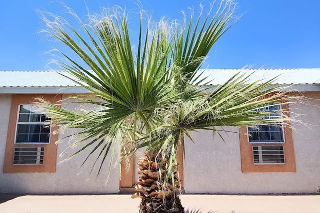 Photo 1 - Desert Inn