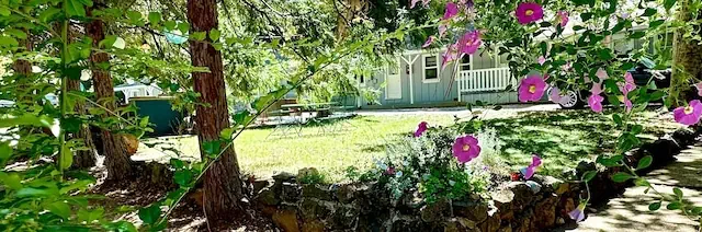 Photo 1 - The Pines Inn and Cottages