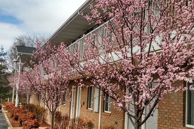 Photo 1 - Affordable Corporate Suites Christiansburg
