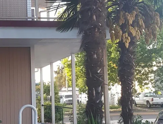 Photo 1 - Express Inn & Suites
