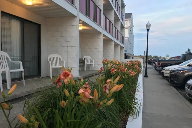 Photo 1 - Simple Life Motel