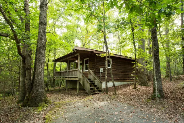 Photo 1 - Forrest Hills Mountain Resort