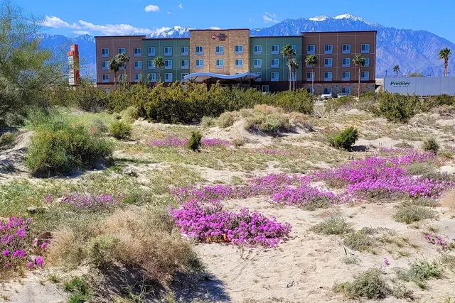Photo 1 - Best Western Plus Coachella Valley Inn & Suites