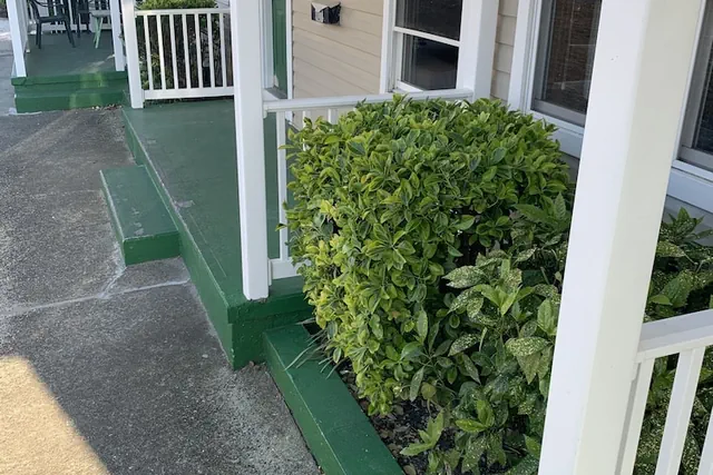 Photo 1 - Wilmington Terrace