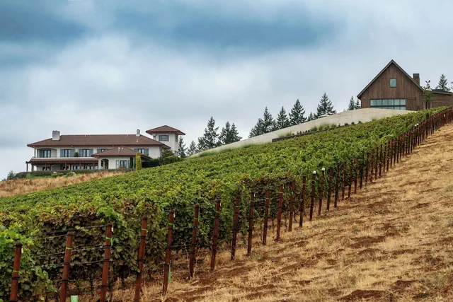 Photo 1 - Black Walnut Inn & Vineyard