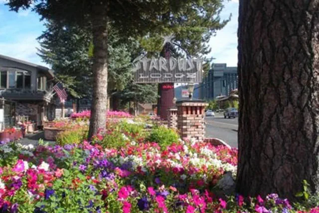 Photo 1 - Stardust Lodge