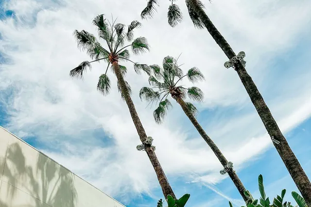 Photo 1 - The Beverly Hilton