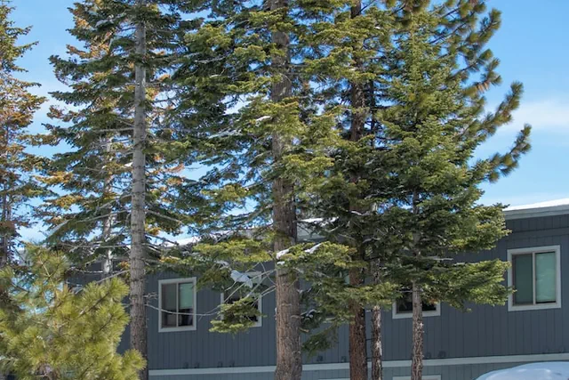 Photo 1 - Tahoe Trail