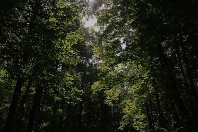 Photo 1 - Frieden Saugatuck
