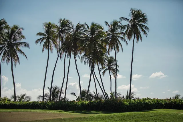 Photo 1 - Wyndham Palmas Beach and Golf Boutique Resort