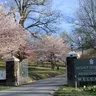 Photo 2 - Mount Sequoyah Center