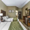 Photo 9 - Comfort Inn South Kingsport