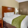 Photo 6 - Comfort Inn & Suites North Aurora - Naperville