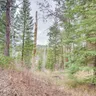 Photo 10 - Tree-lined Mccall Cabin: Walk to Payette River!