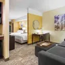 Photo 6 - SpringHill Suites by Marriott Wheeling Tridelphia Area