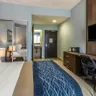 Photo 9 - Comfort Inn & Suites Levittown