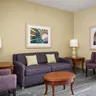 Photo 7 - Hilton Garden Inn Dallas Richardson